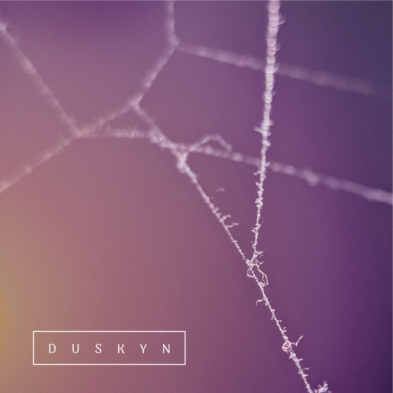 Duskyn Album Cover